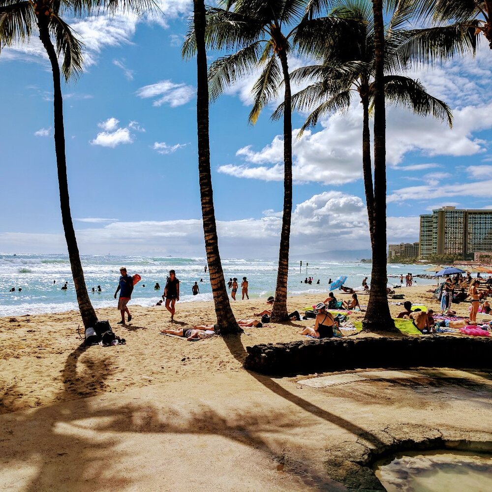 Meet your Posher, hakataloha!